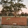Mulligans Flat receives $2 million for visitors centre in ACT budget