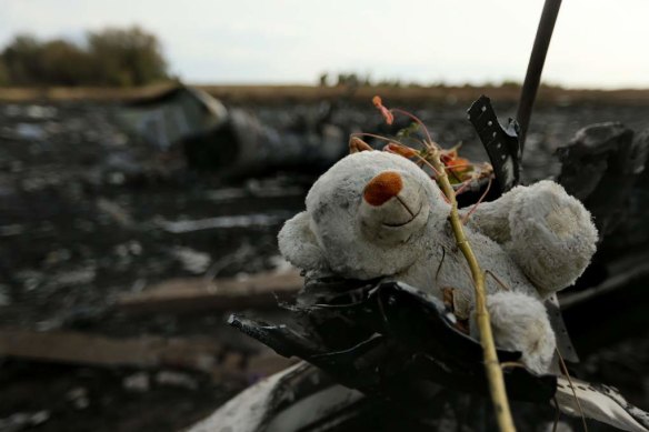 A teddy bear amongst the debris of flight MH17 at the crash site in the fields outside the village of Grabovka in the self proclaimed Donetsk Republic, Ukraine.