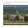‘Run as fast as you can’: What a viral post on giraffes says about China’s markets