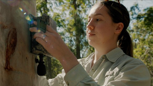 Dr Daniella Teixeira said the AI model could at times pick up calls that no human researcher could, while humans were better at working out the calls’ meanings.