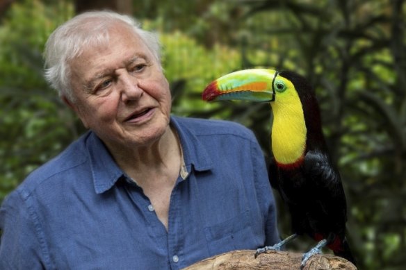 David Attenborough is one of the many people whose experiences of the BBC are unpicked by David Hendy.