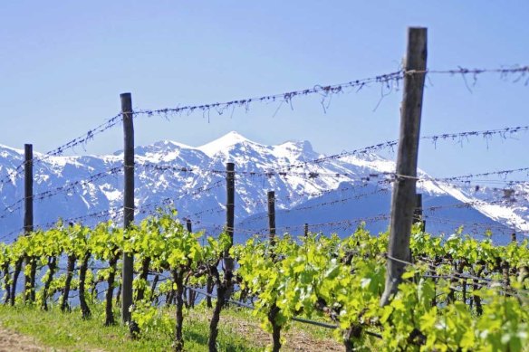 Kourtis Winery with a view of Mount Olympus.