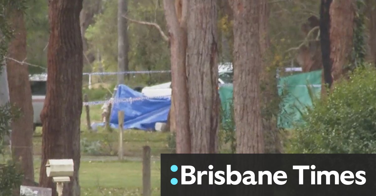 Man shot dead while driving before car hits tree in Port Stephens - Vimarsana News