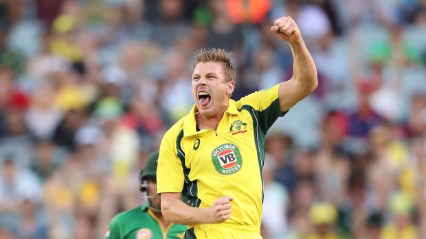 Comeback: Former one-day star James Faulkner (left) has slipped from view in recent years.