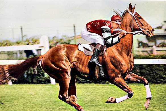 The horse they called Big Red still resonates with Australians almost a century on.