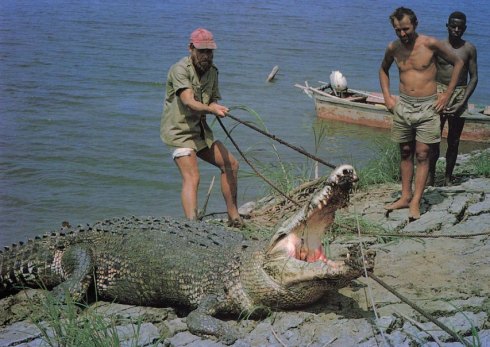 Crocodile hunter George Craig.