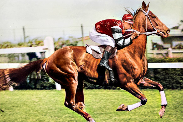 The horse they called Big Red still resonates with Australians almost a century on.