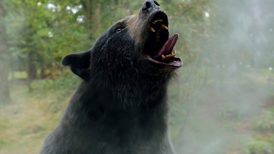 Cocaine Bear riotously delivers on the promise of its title.