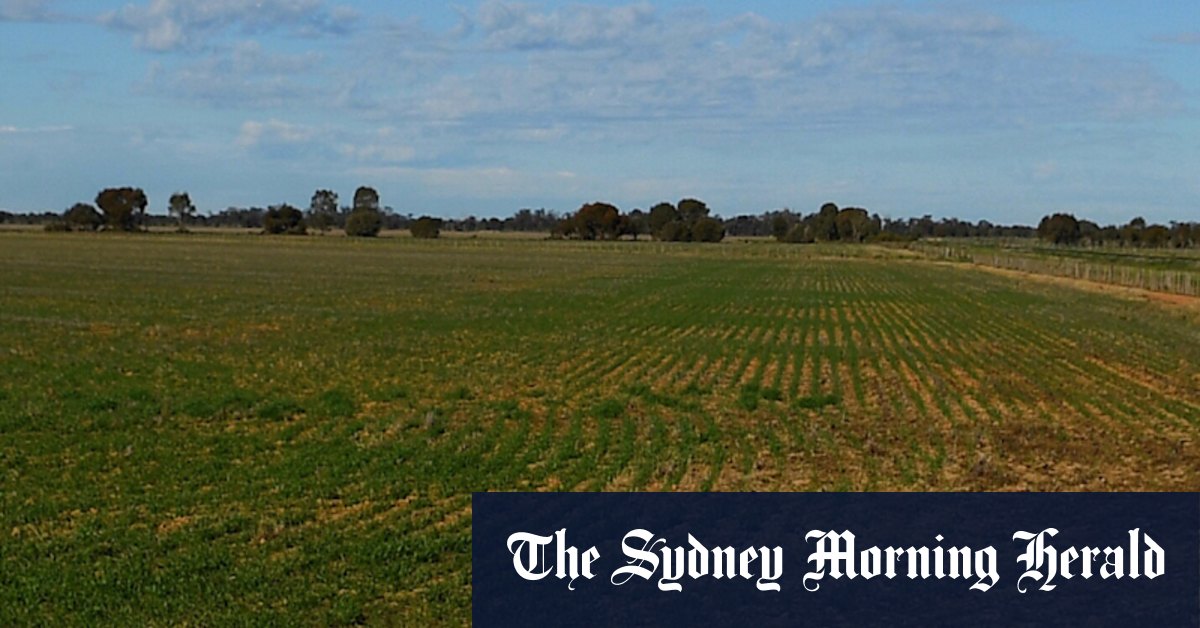 'On ICAC's desk regardless': Rural land deal passed to corruption investigators - Vimarsana News