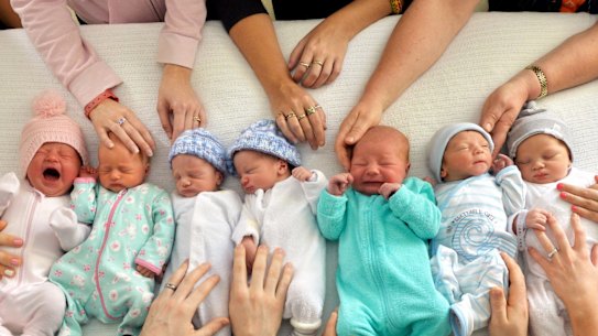 Australian-made babies: just what Matt Canavan ordered.