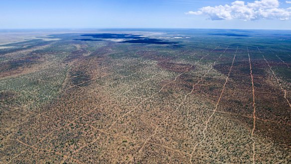 Aerial image of seismic lines about 45 kilometres east of Broome. 
