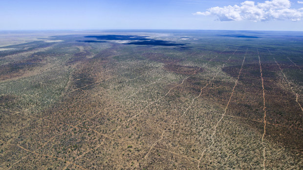 Aerial image of seismic lines about 45 kilometres east of Broome. 