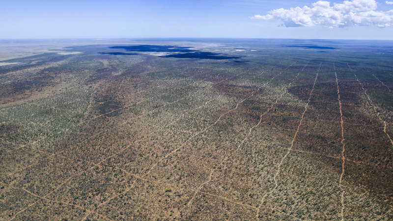 ‘Trashing the joint’: Alarm grows as oil and gas giant clears the Kimberley