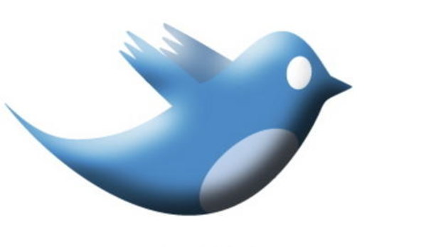 The Twitter bird logo      