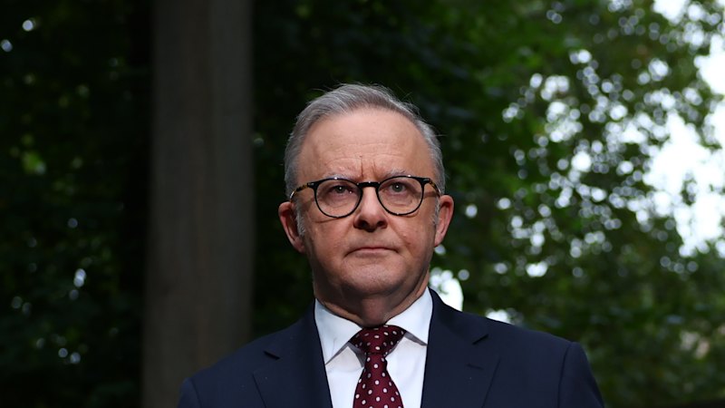 We are fighting for ‘democracy itself’, Albanese declares to UK Labour