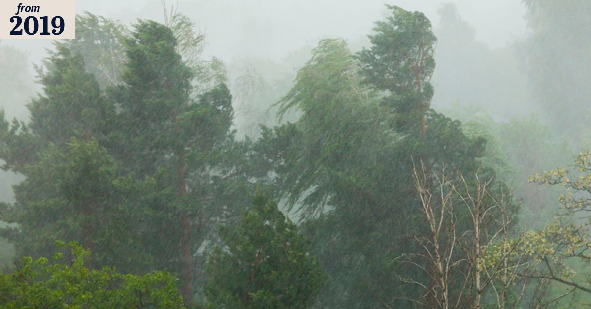 Thousands of homes in WA without power after wild weather passes ...