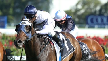 Out to surprise: Burning Passion has targeted the Ladies Day Cup at Hawkesbury on Thursday