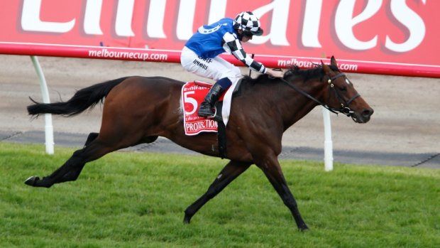 Owners Australian Bloodstock hope Torcedor can follow in Protectionist's footsteps and win the Melbourne Cup. 