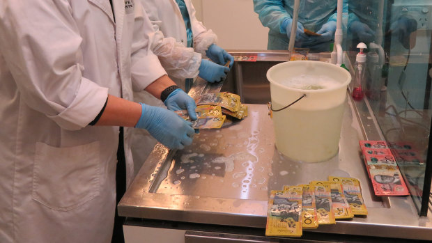 Reserve Bank staff wash bank notes damaged during the 2022 floods, so they can be counted before being destroyed.