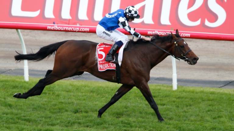 Owners Australian Bloodstock hope Torcedor can follow in Protectionist footsteps and win this year's Melbourne Cup. 