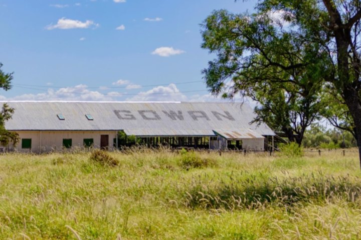 Gowan Station was offered by Blue Sky Beef.
