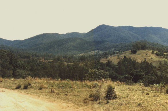 For seven years, Amber lived in Australia's feminist utopia
