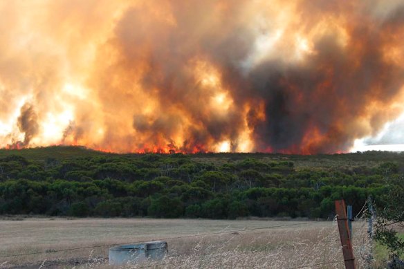 The Esperance fires are considered among the most devastating in the state’s history.