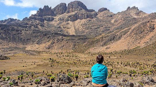 Mount Kenya suffers nothing from being of a lower elevation than Kilimanjaro. 