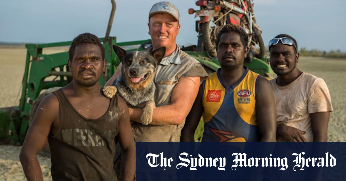 Black As: The crazy adventures of four Yolngu lads marks a new frontier for TV - Vimarsana News