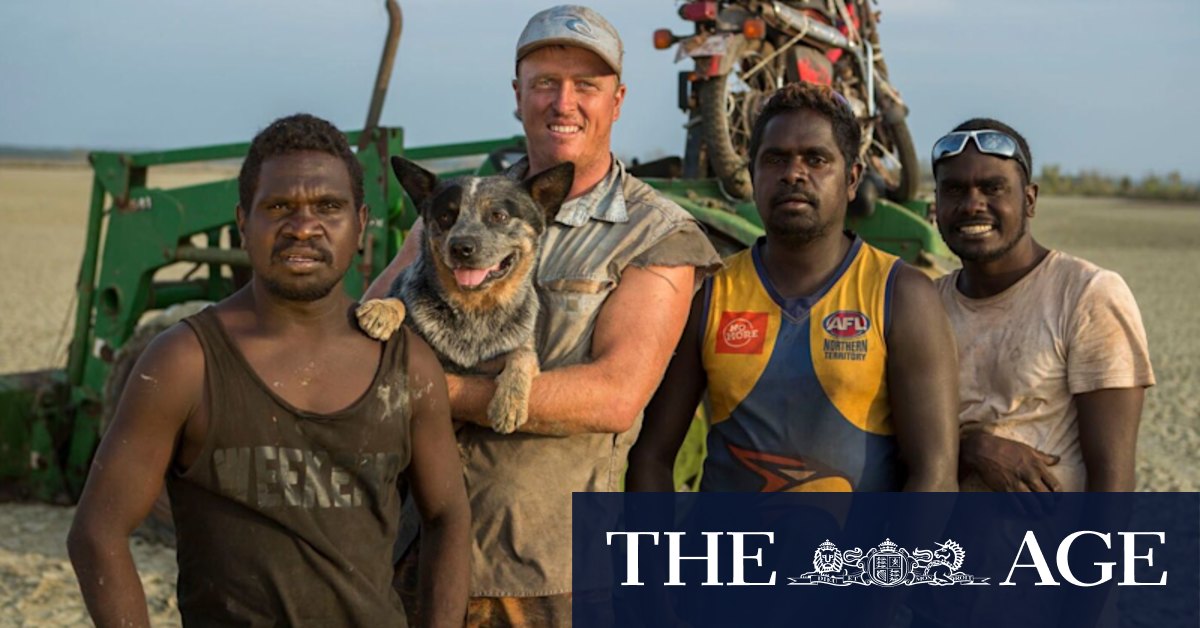 Black As: The crazy adventures of four Yolngu lads marks a new frontier for TV - Vimarsana News