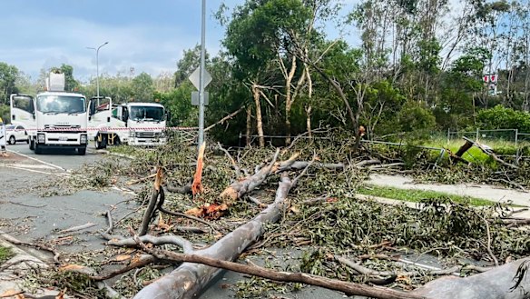 Trees blown down in the storm block Kopps Road at Oxenford.