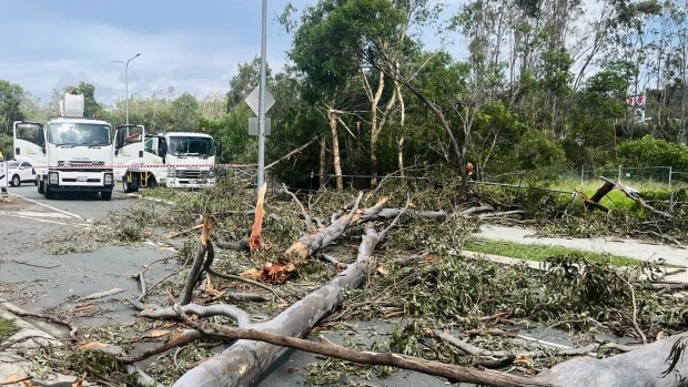 Trees blown down in the storm block Kopps Road at Oxenford.