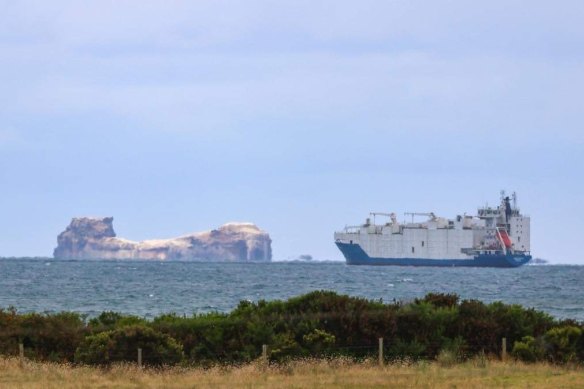 The Yangtze Fortune off the coast of Portland with Lawrence Rocks in the background.