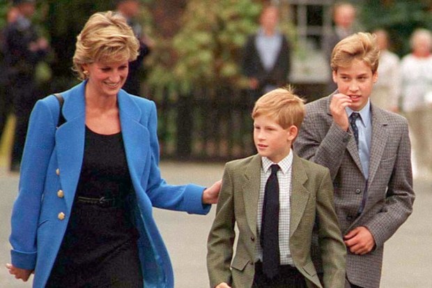 Prince William with Diana, Princess of Wales and Prince Harry in 1995. Picture: Getty