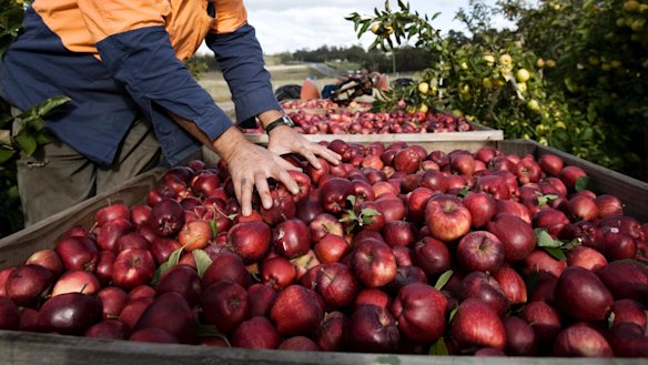 The study showed that most people would pay up to 50 cents more per kilo and some would pay around $1 more if the products they bought were produced under fair work conditions.