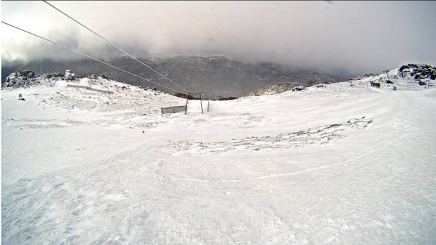 Conditions near the top of Mount Kosciuszko on Sunday morning.