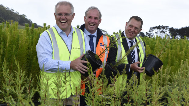Australian Prime Minister Scott Morrison, Senator Richard Colbeck and Liberal candidate for Braddon Gavin Pearce pose for photographs during a visit to Forico Nursery in Somerset, Tasmania.