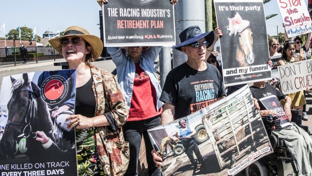 Protesters against horse racing outside Randwick Racecourse.