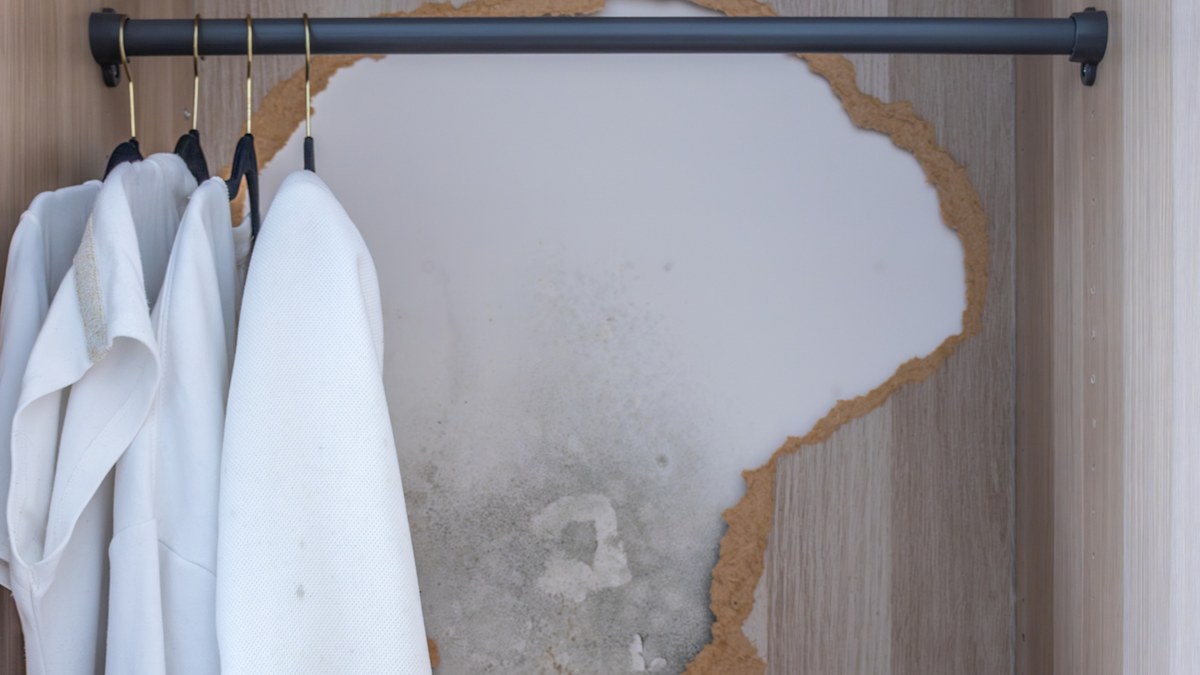 Check this one thing before throwing away mouldy clothes and you could save thousands