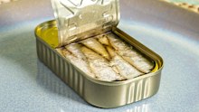 Say hello to the (tinned) fish du jour.