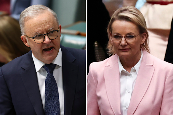 Anthony Albanese and Sussan Ley in question time this week.