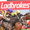 Ladbrokes owner Entain faces AUSTRAC probe and potential million-dollar fine