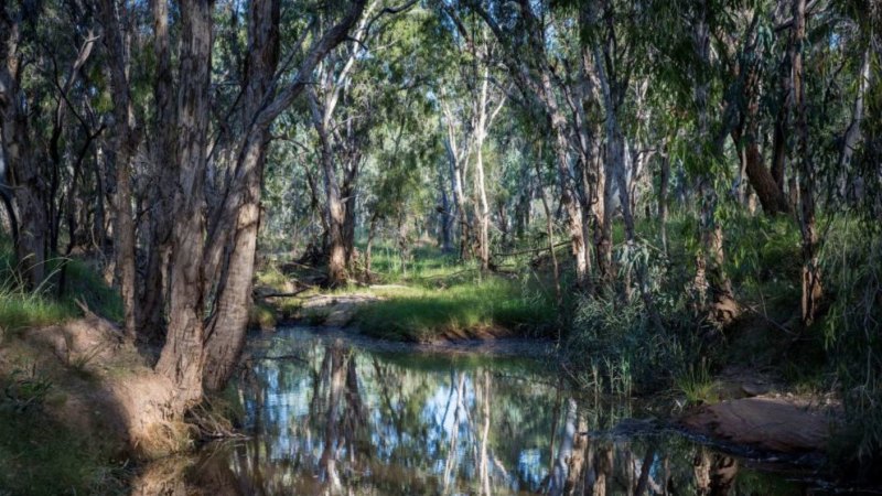 This drying continent can't afford Adani's pipeline to 12.5 billion litres of precious water - Sydney Morning Herald