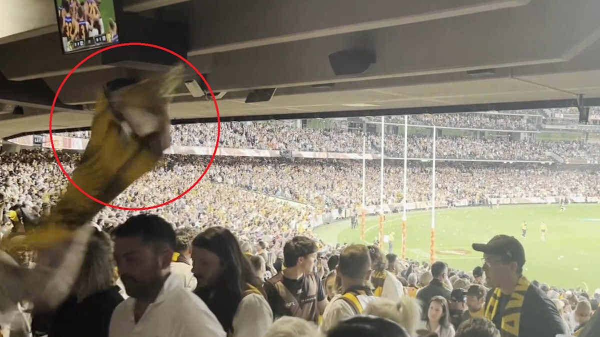 Polizei ermittelt nach Nacho-Wurf auf Lions-Fans