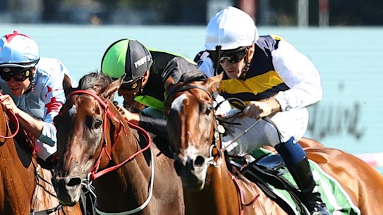 Lady Laguna explodes away in the Canterbury Stakes to give Tyler Schiller his second group 1 victory.