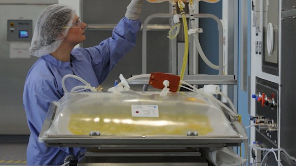 CSL's manufacturing site at Broadmeadows will work to develop the trial treatment. 