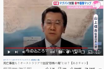 El embajador japonés en Australia, Shingo Yamagami, habla sobre las urracas en la televisión japonesa.