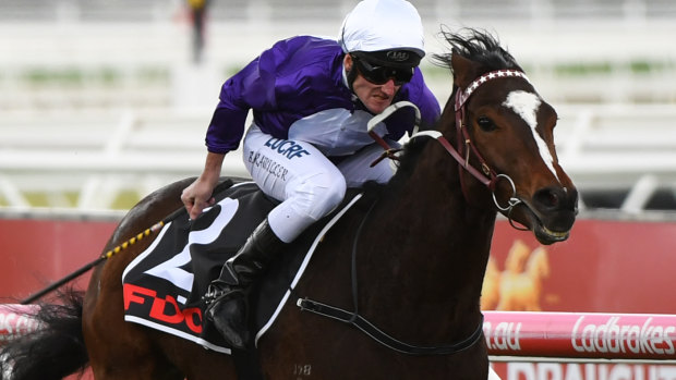 Group horse: Take It Intern will be out to give Orbis Bloodstock its biggest Australian win in the Scone Cup.
