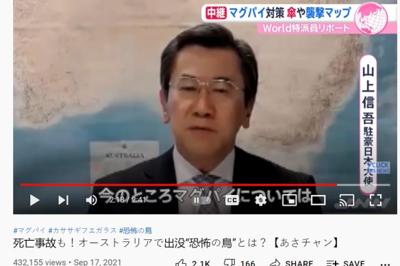 The Japanese ambassador to Australia Shingo Yamagami discusses magpies on Japanese TV.