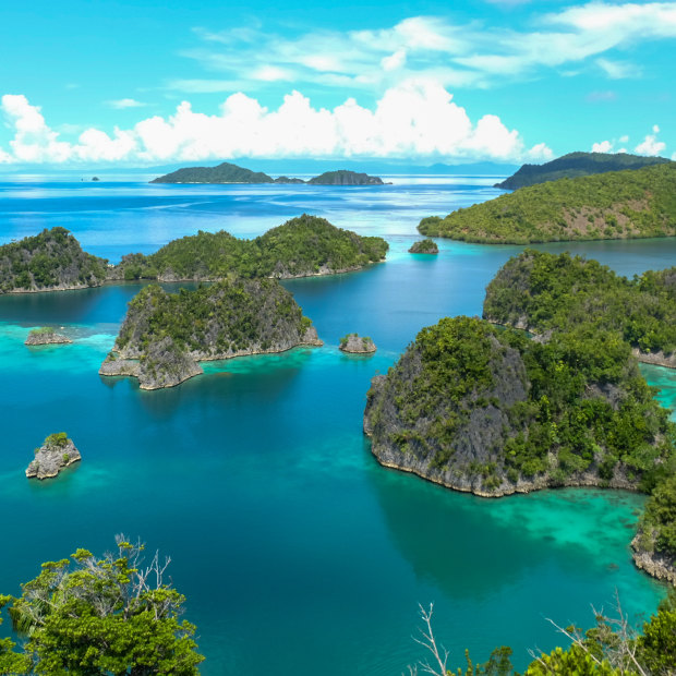 Raja Ampat, Indonesia. In this archipelago of 1500 islands you’ll find 75 per cent of the world’s marine species.
